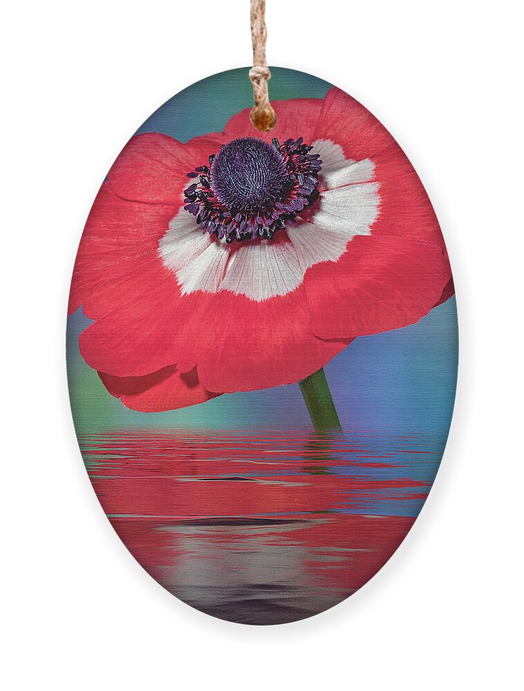 Anemone Flower Ornament featuring the photograph Anemone Flower by Susan Candelario