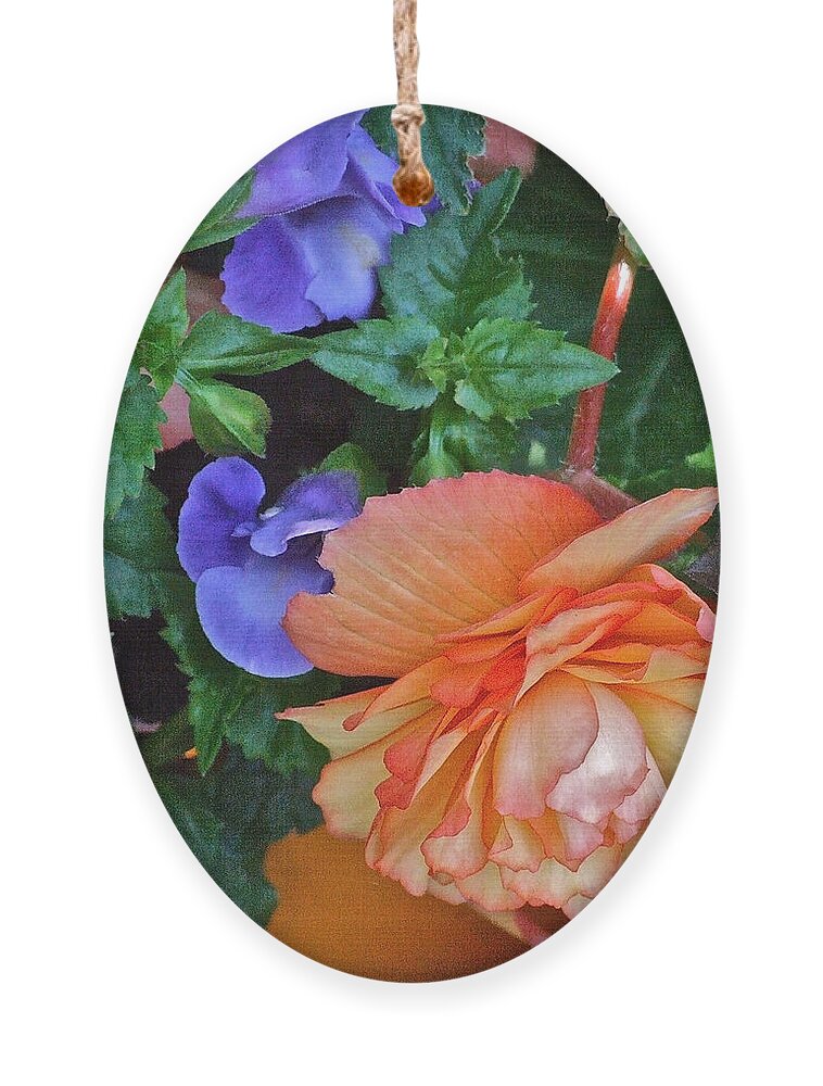 Begonia. Garden Flower Ornament featuring the photograph Apricot Begonia 1 by Janis Senungetuk