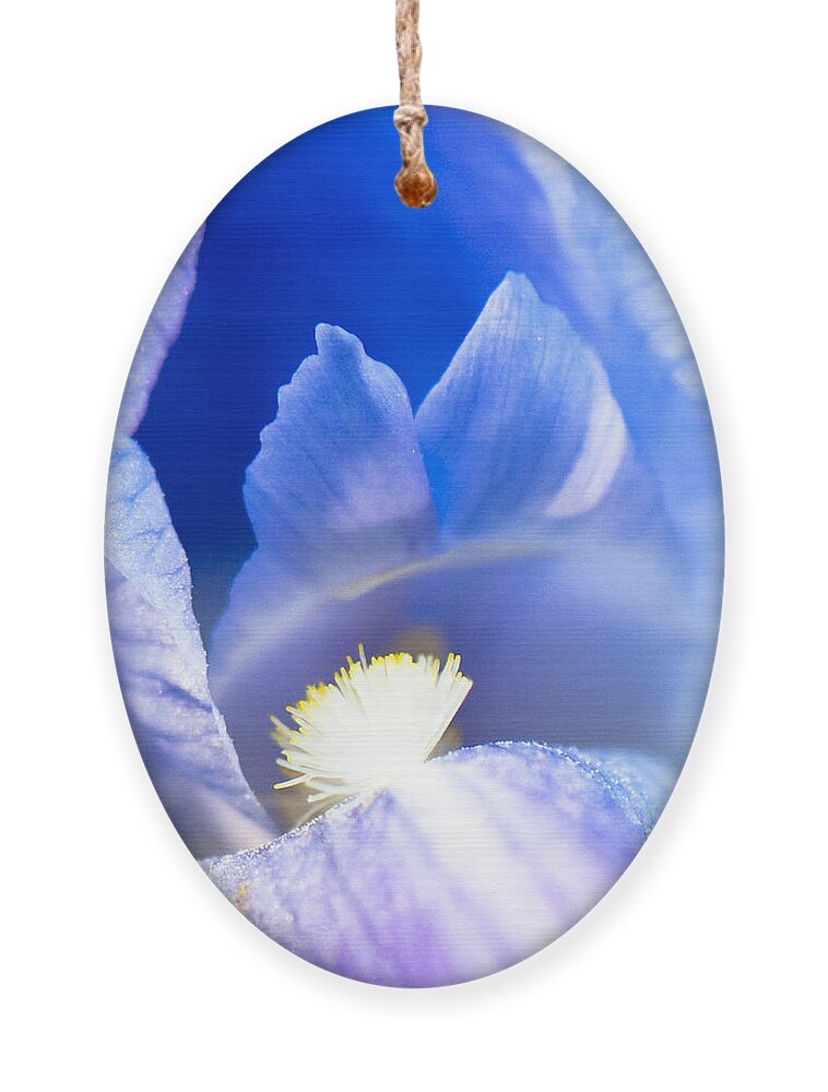 Photography Ornament featuring the photograph Aria by Steven Natanson