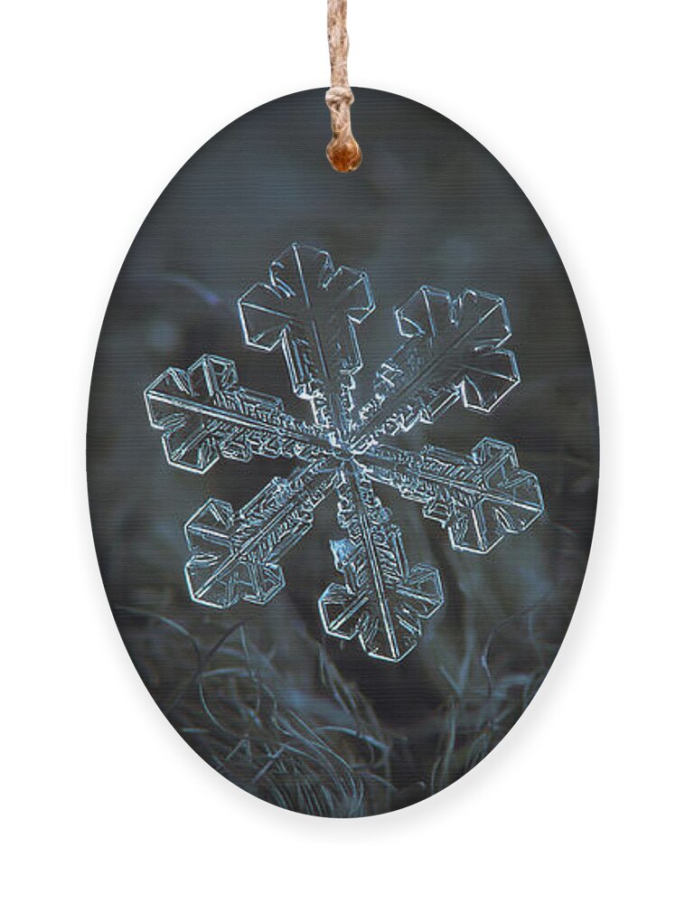 Snowflake Ornament featuring the photograph Snowflake photo - Vega by Alexey Kljatov