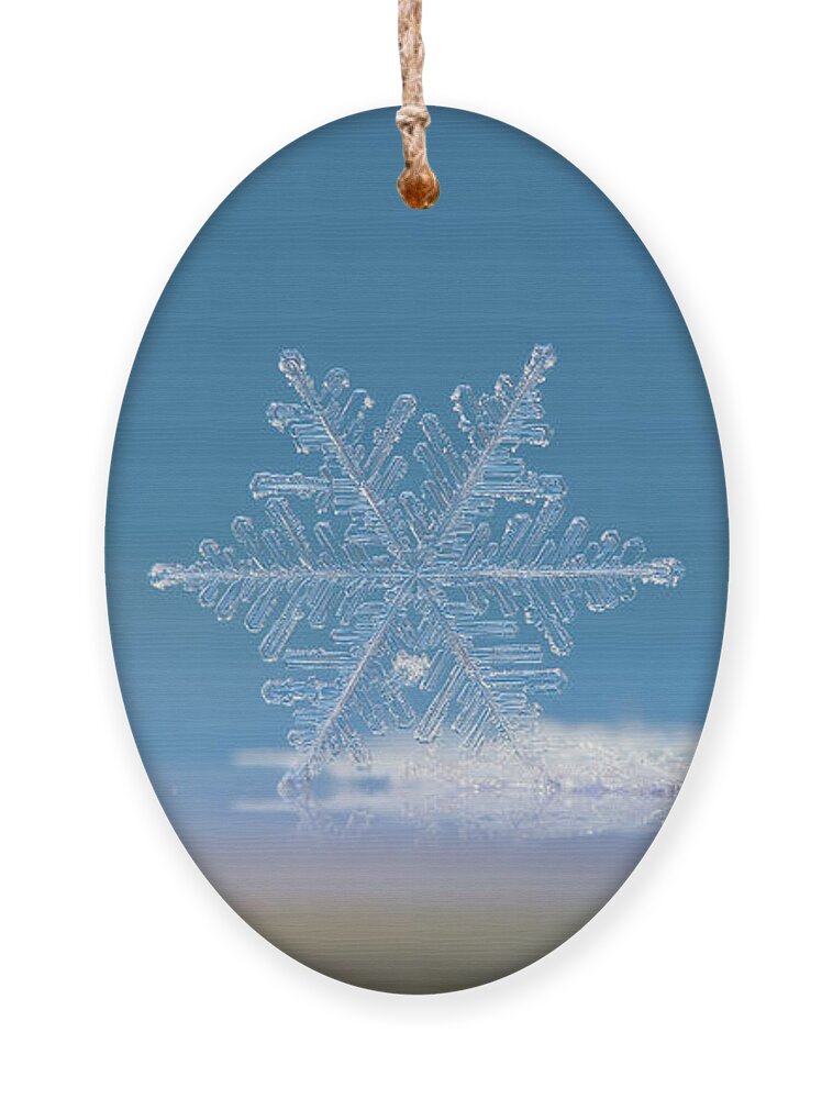 Snowflake Ornament featuring the photograph Snowflake photo - Cloud number nine by Alexey Kljatov