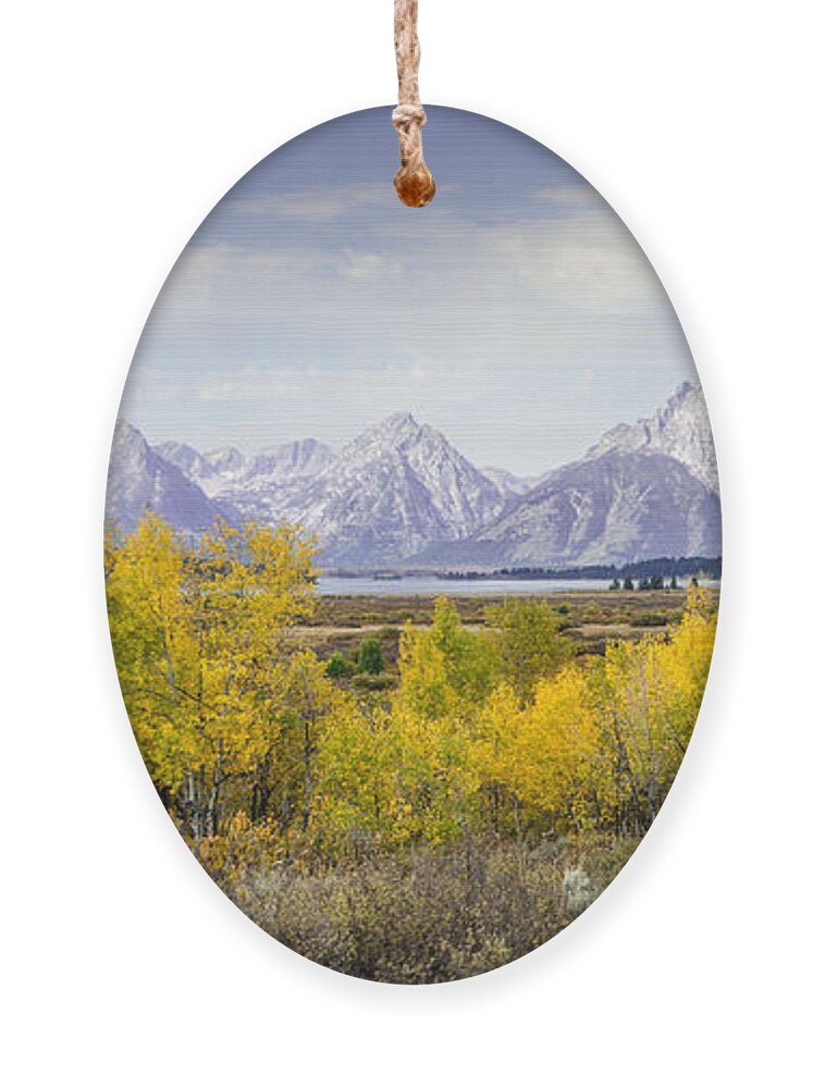 Aspen Ornament featuring the photograph Aspen Gold in the Tetons by Greni Graph