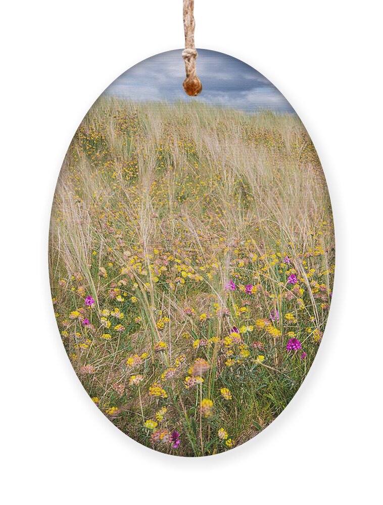 Bog Asphodel Ornament featuring the photograph Asphodel and Orchids by Nigel R Bell