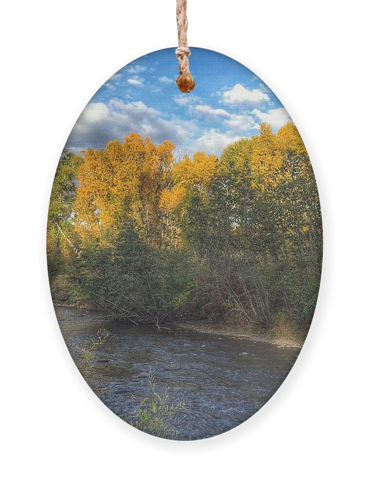 Autumn Colors On The Chama River Ornament featuring the photograph Autumn Colors on the Chama River by Debra Martz