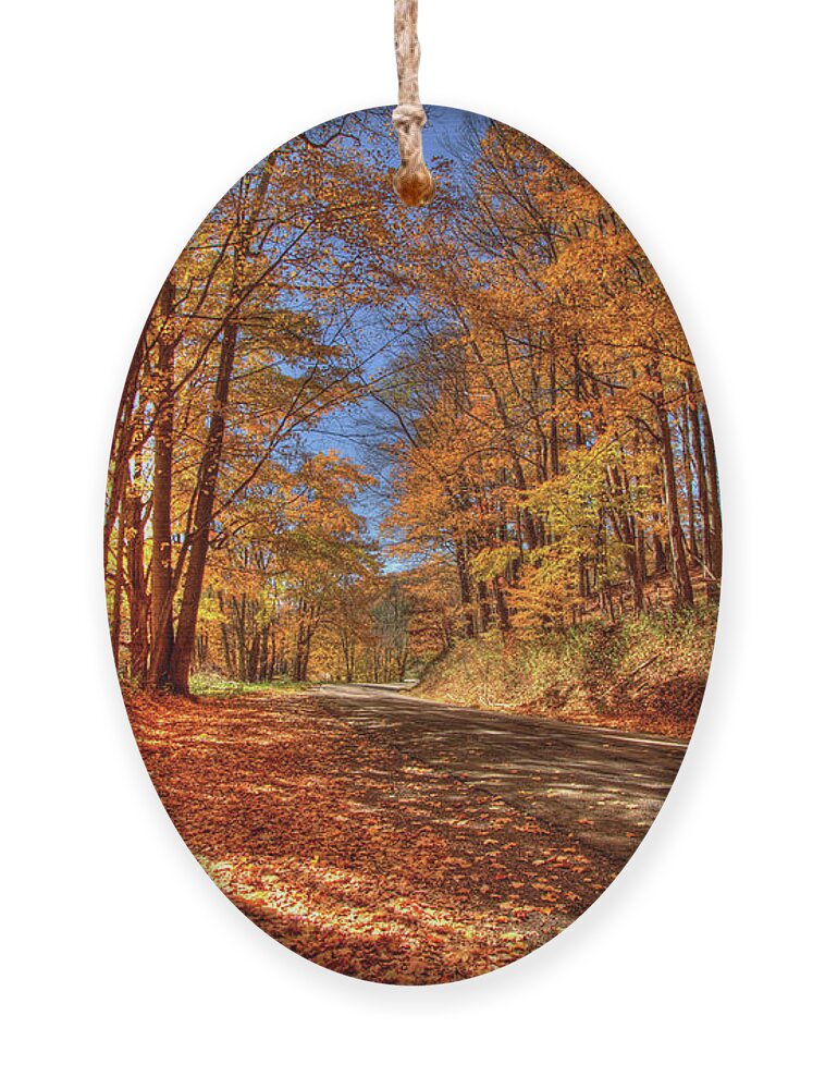Fall Ornament featuring the photograph Autumn Glow by Dale R Carlson