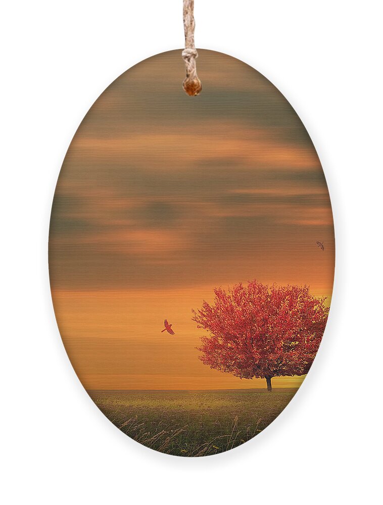 Four Seasons Ornament featuring the photograph Autumn by Lourry Legarde