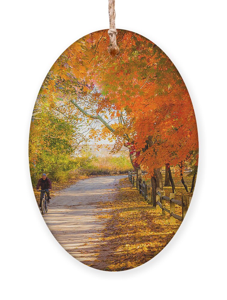 Bike Ornament featuring the photograph Autumn Path by Alissa Beth Photography