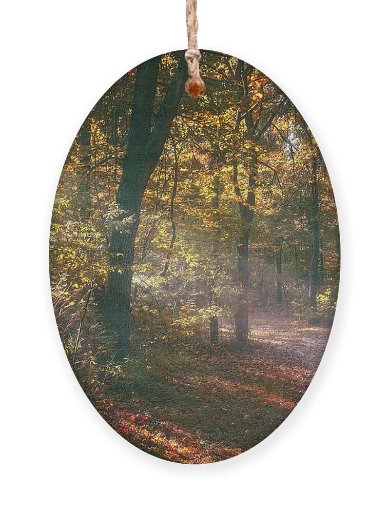 Autumn Ornament featuring the photograph Autumn Path by Scott Norris