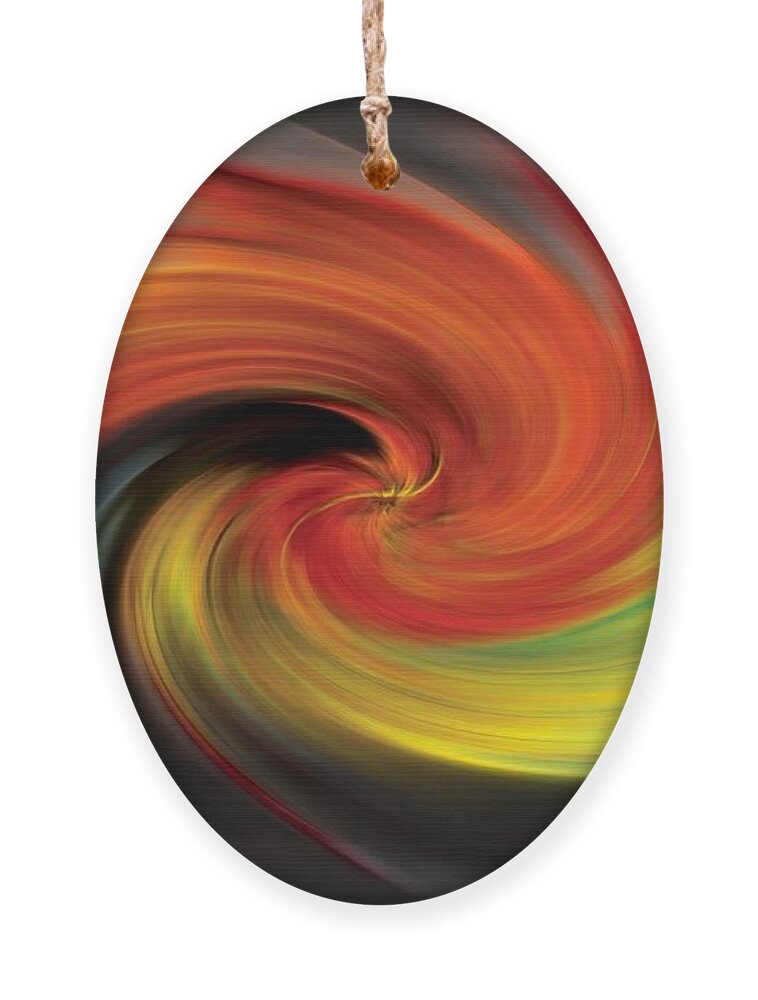Abstract Ornament featuring the photograph Autumn Swirl by Debra and Dave Vanderlaan