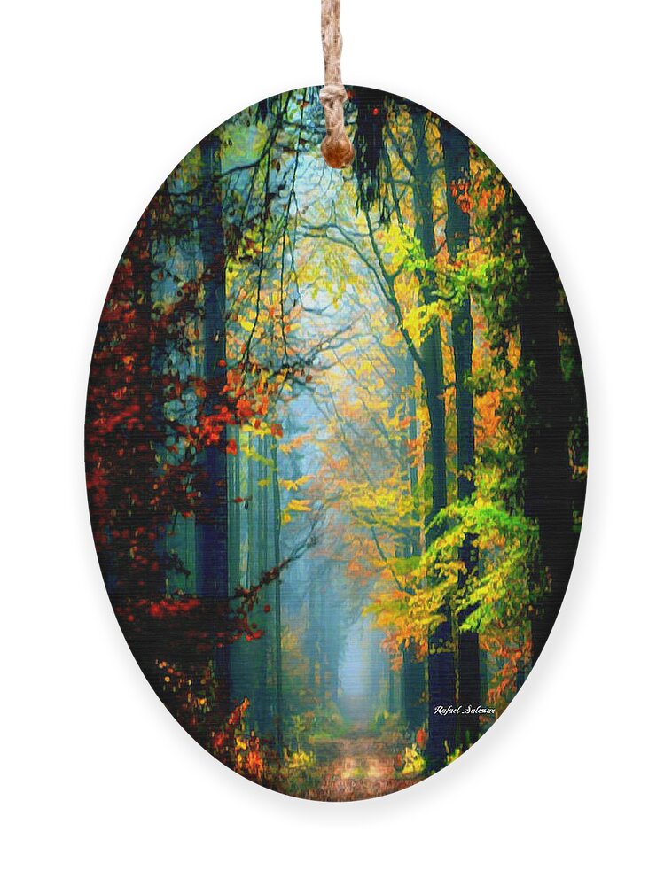 Rafael Salazar Ornament featuring the photograph Autumn Trails in Georgia by Rafael Salazar