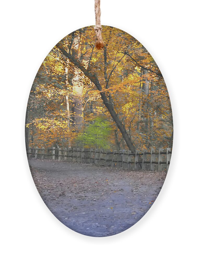 Autumn Ornament featuring the photograph Autumn Walk near Valley Green by Bill Cannon