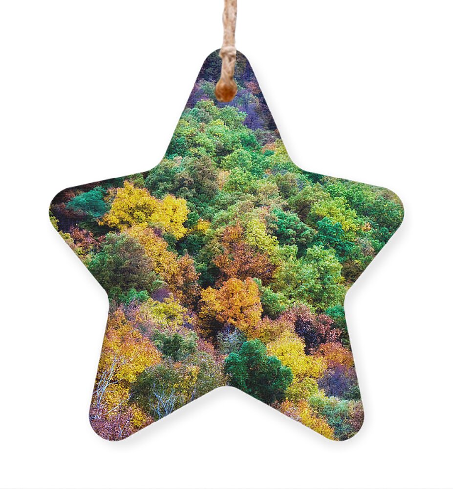 Autumn Ornament featuring the photograph Autumn's Palette by Lana Trussell