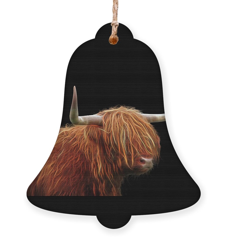 Highland Cow Ornament featuring the photograph Bad Hair Day - Highland Cow - On Black by Gill Billington