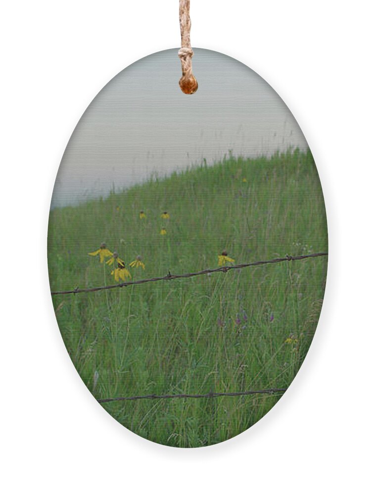 Barbwire Ornament featuring the photograph Barb Wire Prairie by Troy Stapek