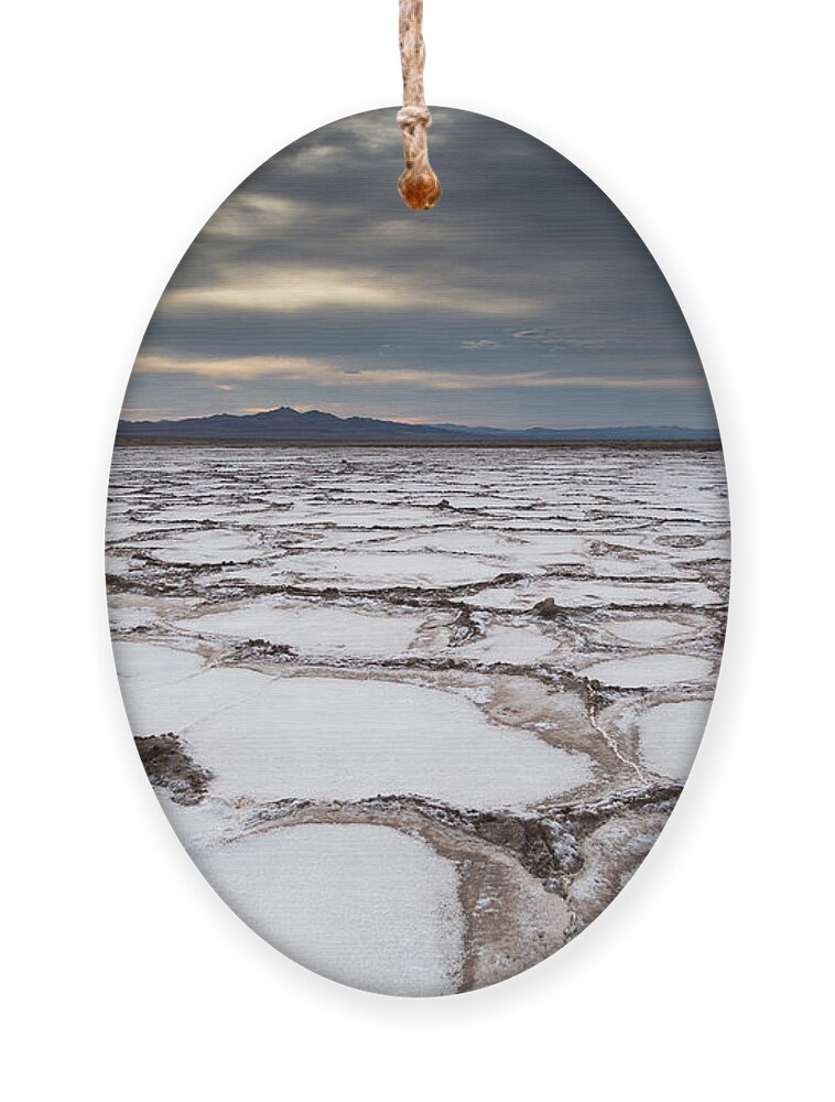 California Ornament featuring the photograph Bare and Boundless by Jason Roberts