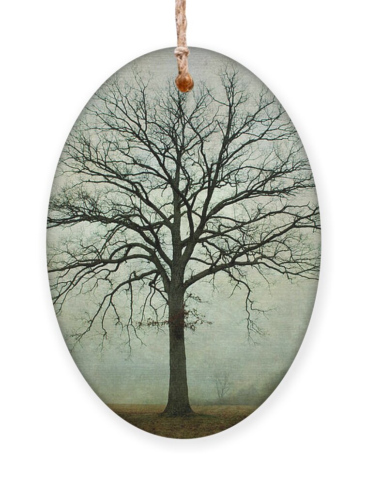 Lone Tree Ornament featuring the photograph Bare Tree and Fog by David Gordon