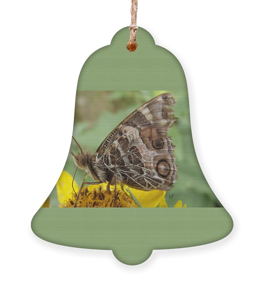 Macro Ornament featuring the photograph Battered Tattered Butterfly by Shelli Fitzpatrick