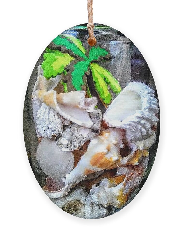  Of The Sea. Ornament featuring the photograph Beachcombing by Suzanne Berthier