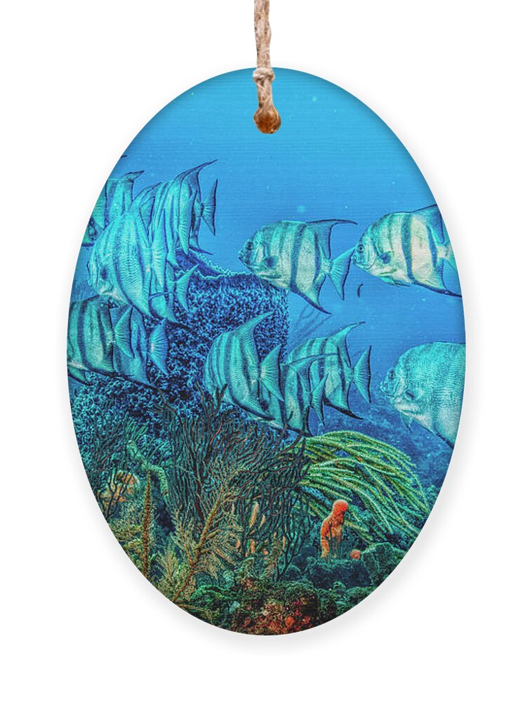 Fishing Ornament featuring the photograph Beautiful Angels on the Reef in HDR Detail by Debra and Dave Vanderlaan