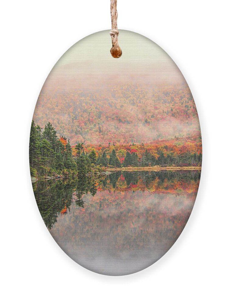 Beaver Pond Nh Ornament featuring the photograph Beaver Pond New Hampshire by Jeff Folger