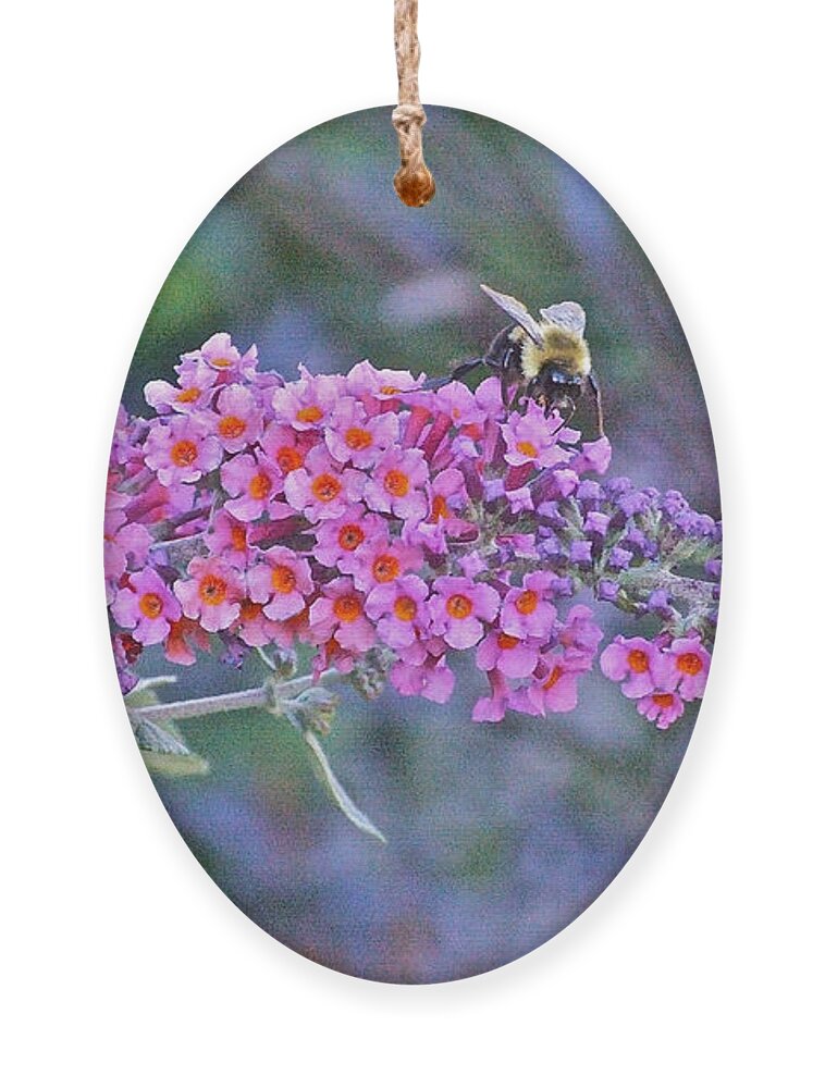 Bumble Bee Ornament featuring the photograph Bee at Brunch by Janis Senungetuk