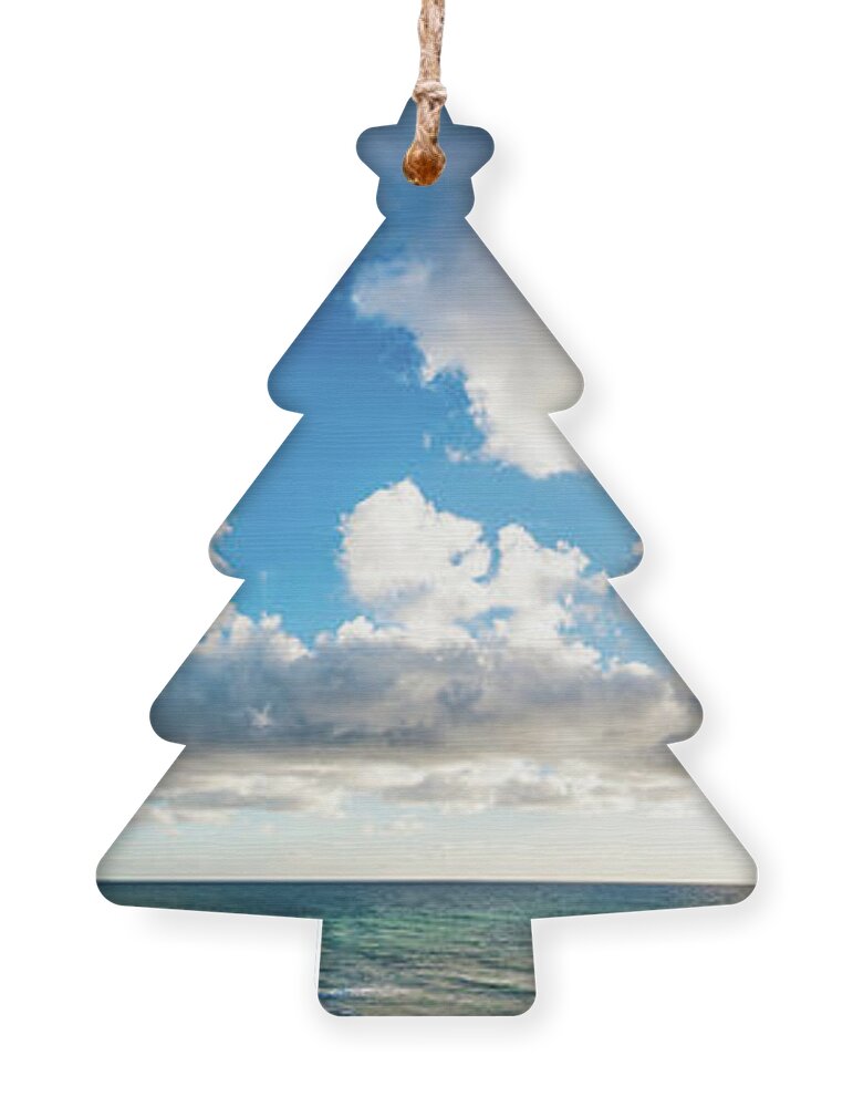 Beach Ornament featuring the photograph Before Sunset at Swami's Beach by David Levin