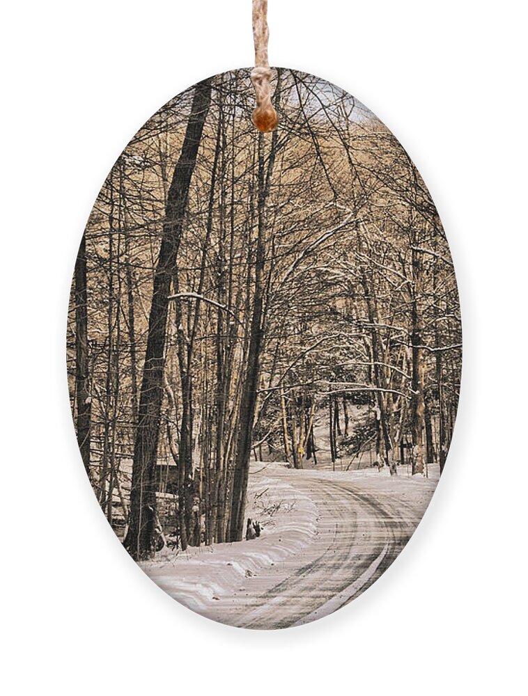 Winter Ornament featuring the photograph Bend in the Road by Onedayoneimage Photography
