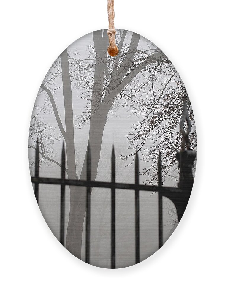 Fence Ornament featuring the photograph Beyond the Pale by Jessica Myscofski