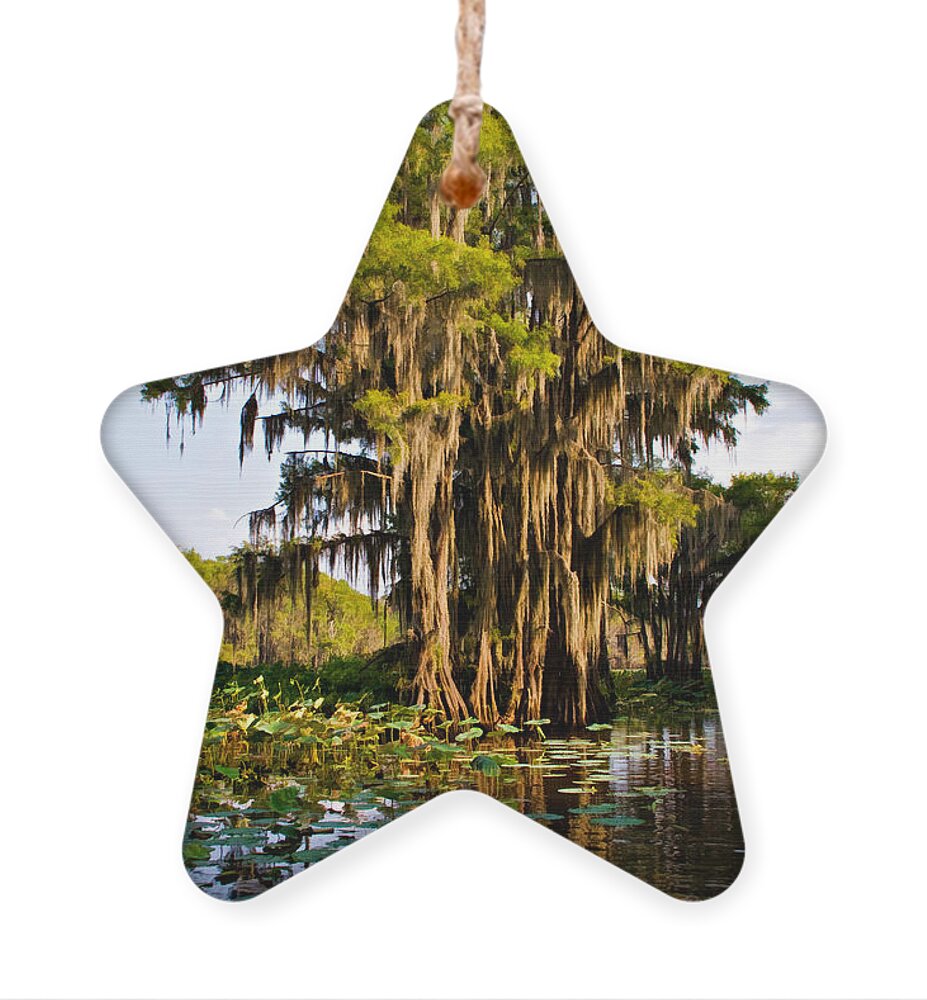 Bayou Ornament featuring the photograph Big Cypress by Lana Trussell