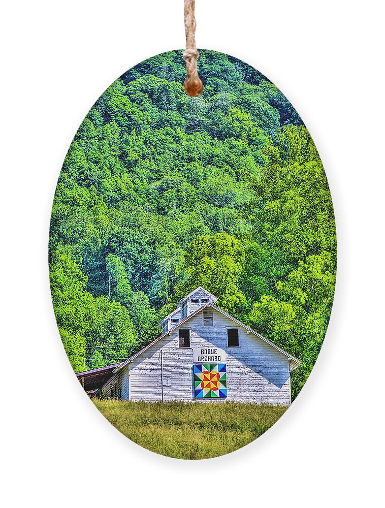 Barn Quilts Ornament featuring the photograph Bioloxi Fox Chase Quilt by Dale R Carlson