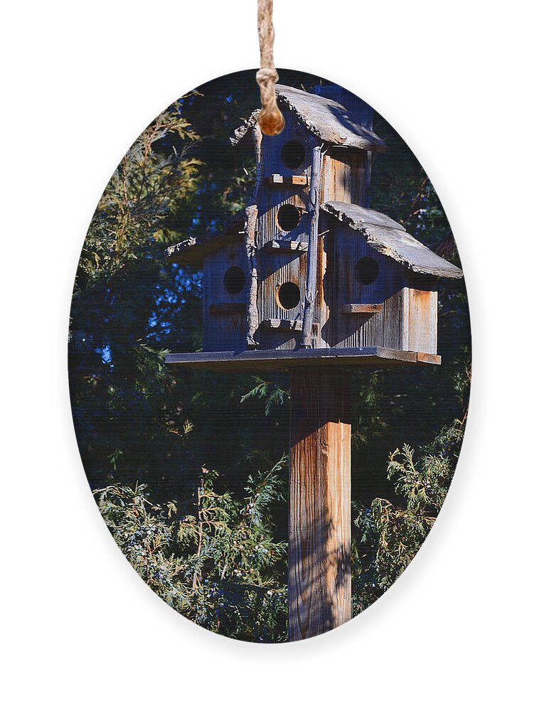 Rustic Ornament featuring the photograph Bird Condos by Robert WK Clark