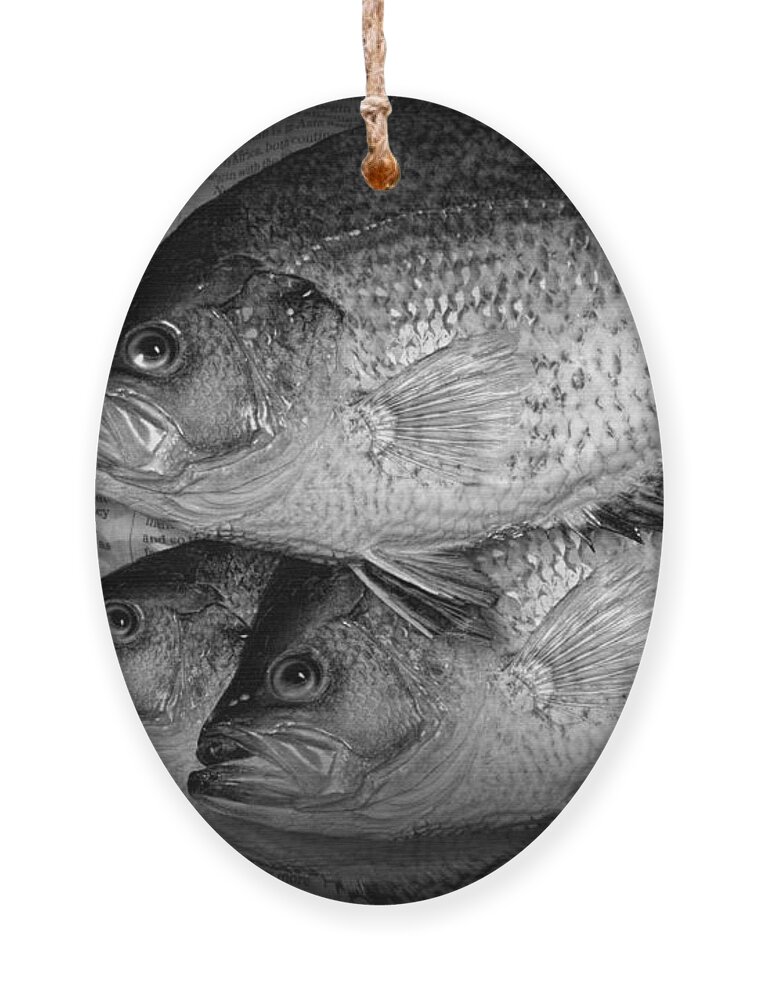 Crappie Ornament featuring the photograph Black Crappie Panfish with Fish Filet Knife in Black and White by Randall Nyhof