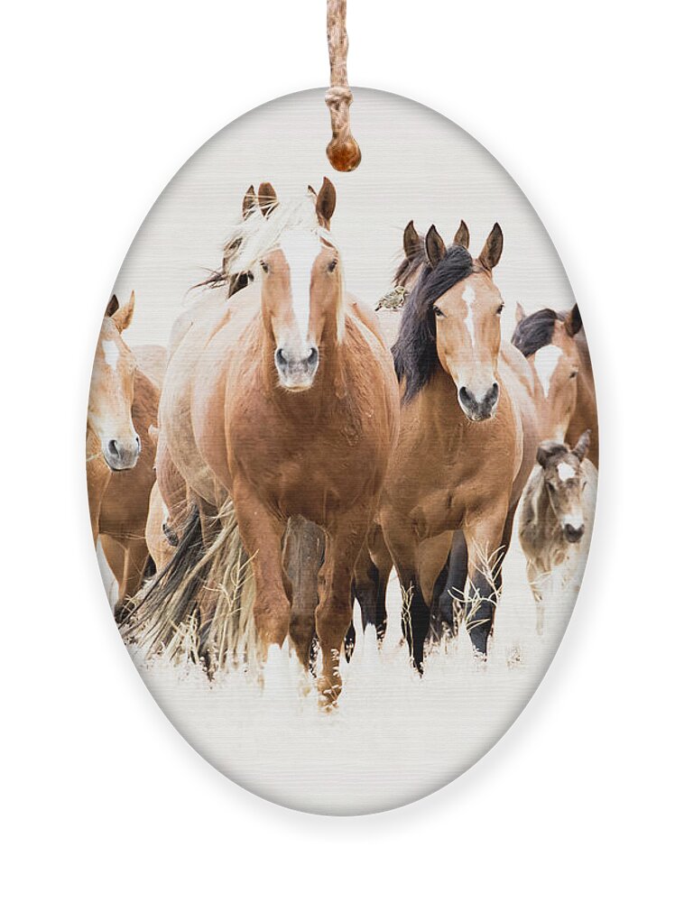 Mustangs Ornament featuring the photograph Blondie's band by John T Humphrey