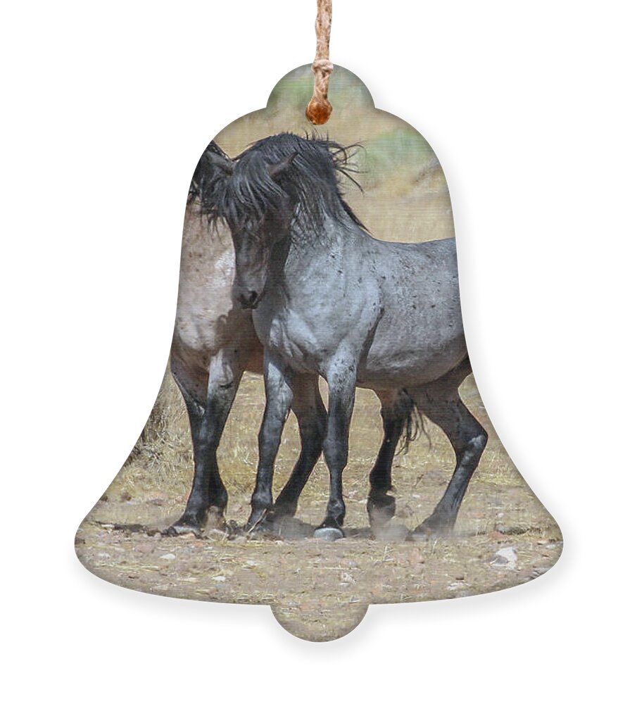 Horses Ornament featuring the photograph Nasl9640 by John T Humphrey