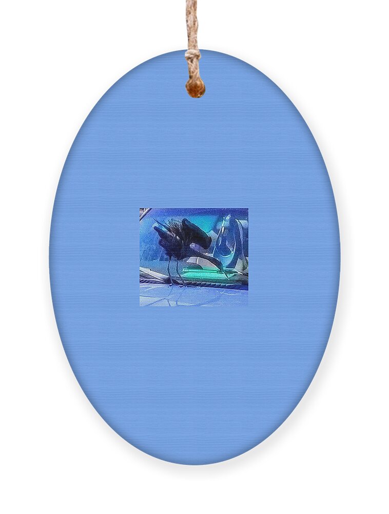 Bird Ornament featuring the photograph Blue Heron Before Takeoff by Suzanne Berthier