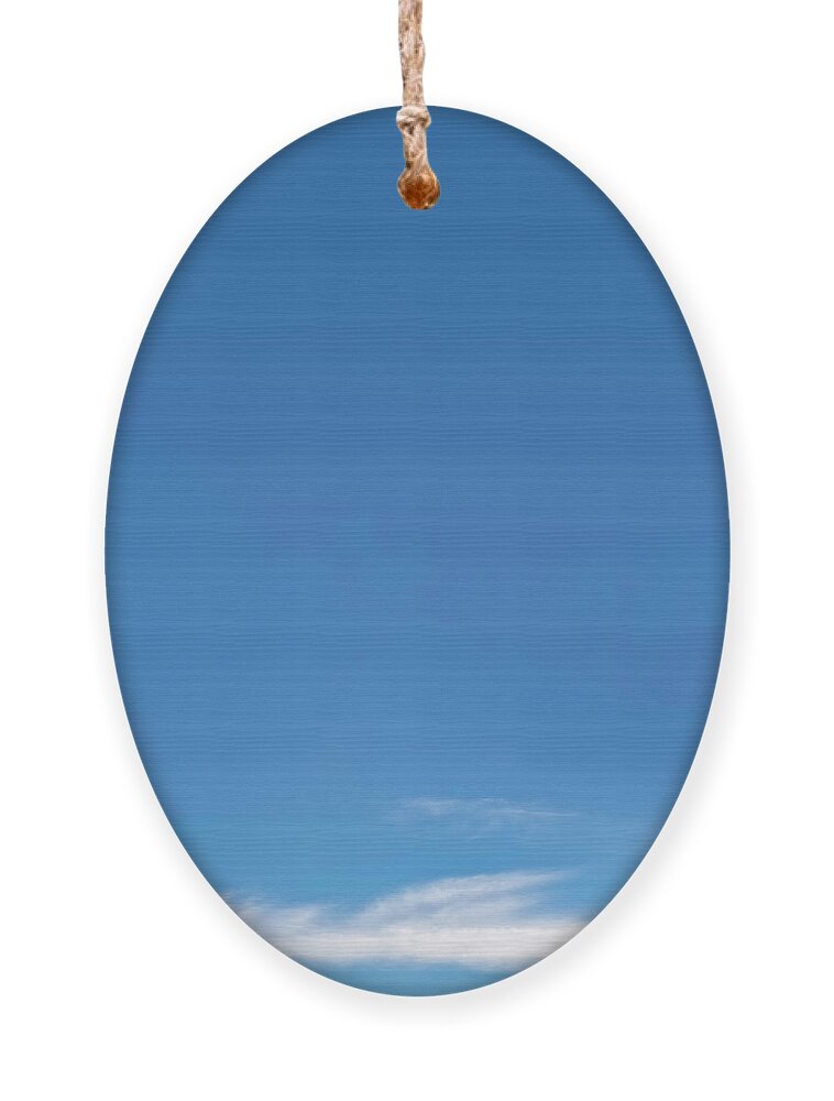 Blue Sky Ornament featuring the photograph Blue Sky by Scott Norris