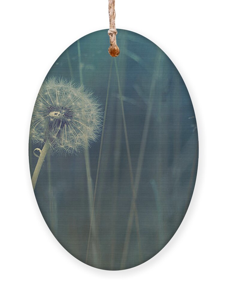 Blowball Ornament featuring the photograph Blue Tinted by Priska Wettstein