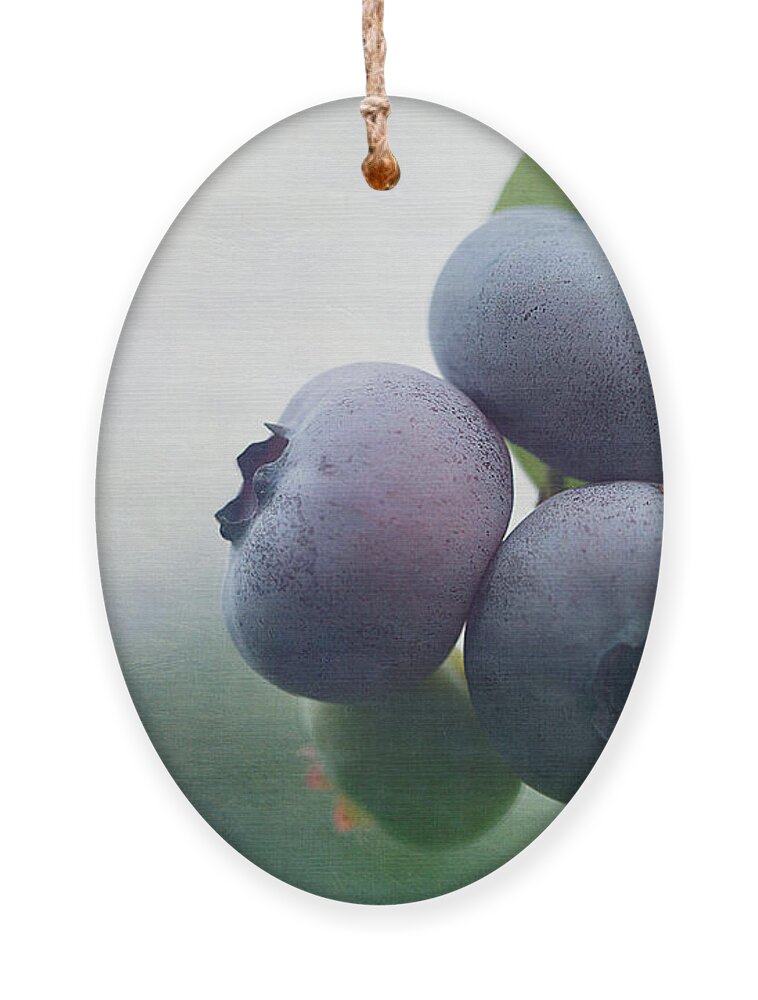 Cindi Ressler Blueberries Ornament featuring the photograph Blueberries by Cindi Ressler