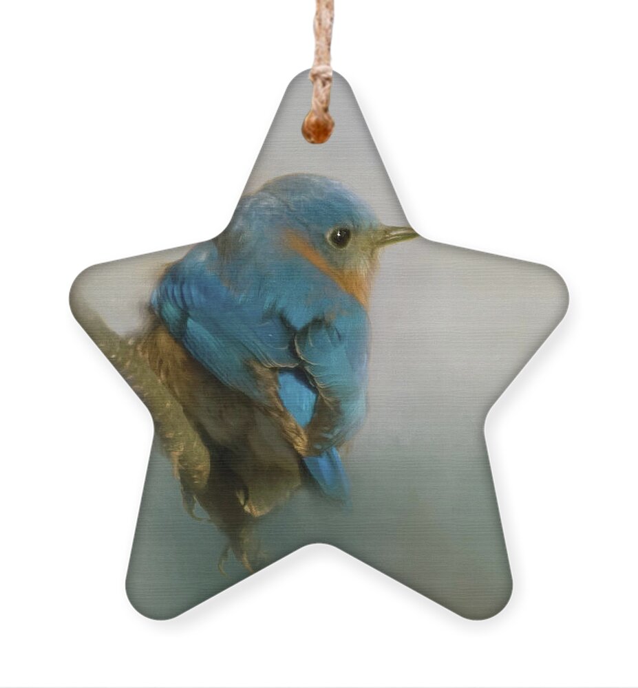 Eastern Ornament featuring the photograph Bluebird by Lana Trussell
