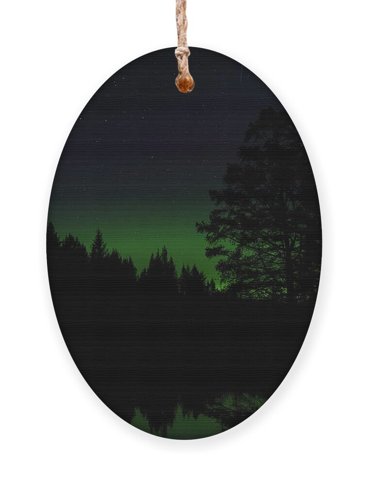 Aurora Borealis Ornament featuring the photograph Boot Creek Green Glow by Dale Kauzlaric