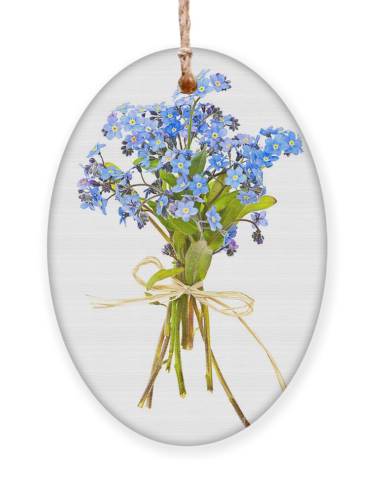Bouquet Ornament featuring the photograph Bouquet of forget-me-nots by Elena Elisseeva