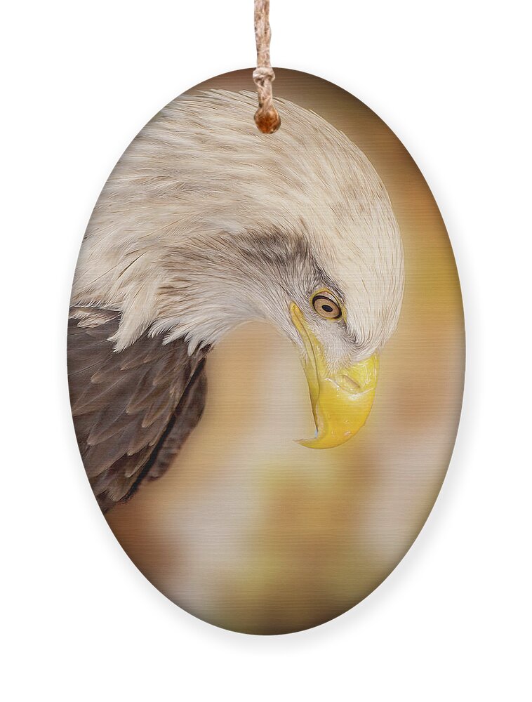 Bald Eagle Ornament featuring the photograph Bow Your Head and Prey by Bill and Linda Tiepelman