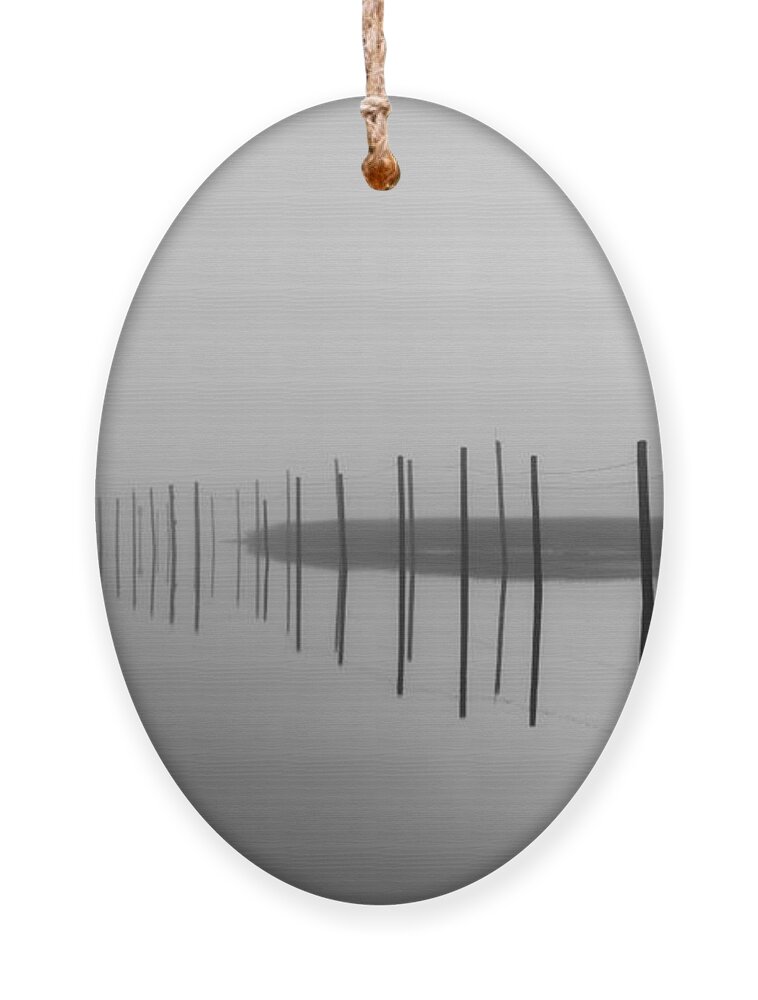 Fog Ornament featuring the photograph Breaking Through The Fog by Alissa Beth Photography
