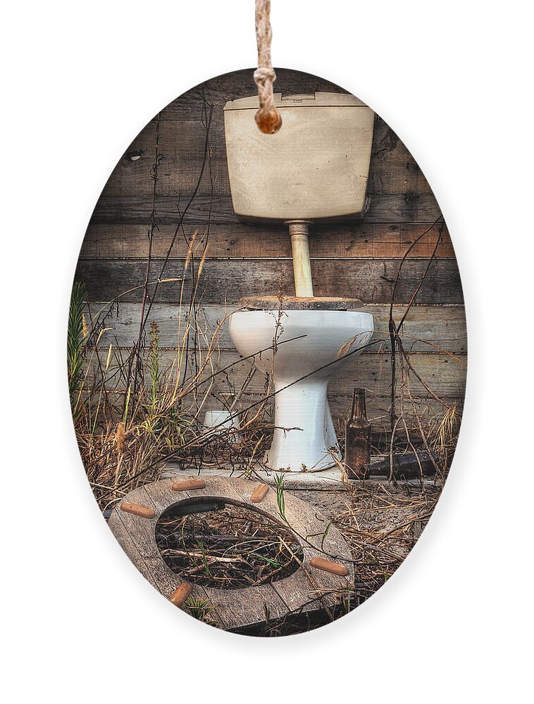 Abandoned Ornament featuring the photograph Broken Toilet by Carlos Caetano