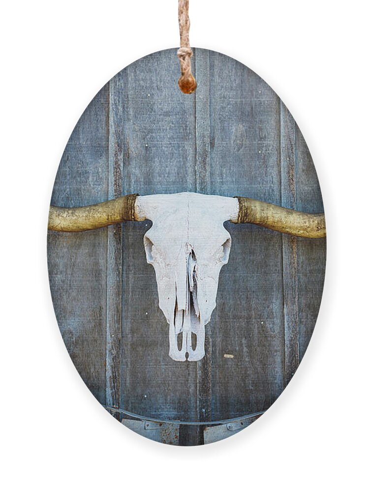 Texas Ornament featuring the photograph Bull Blade by Raul Rodriguez