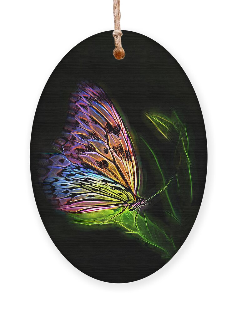 Fantasy Ornament featuring the digital art Butterfly Fantasy 2a by Walter Herrit