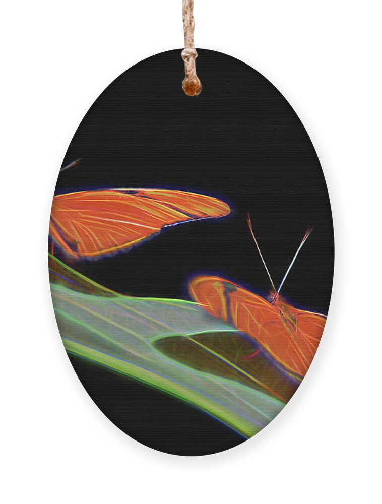 Digital Ornament featuring the digital art Butterfly Love 1b by Walter Herrit