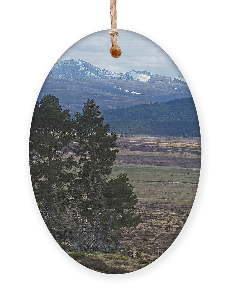 Bynack More Ornament featuring the photograph Bynack More and Beag - Cairngorm Mountains by Phil Banks