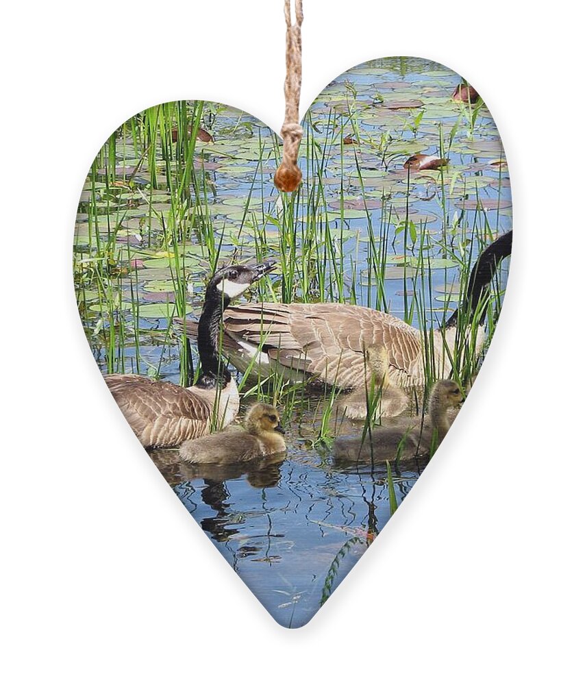 Geese Ornament featuring the photograph Canada Geese Family on Lily Pond by Rose Santuci-Sofranko