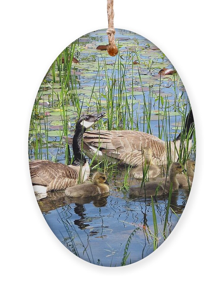 Geese Ornament featuring the photograph Canada Geese Family on Lily Pond by Rose Santuci-Sofranko